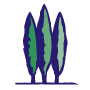 Skagit regional clinic - color icon